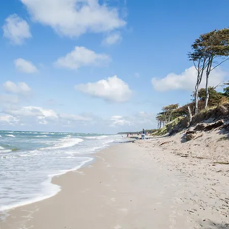 Haubenlerche 52 풀렌도르프