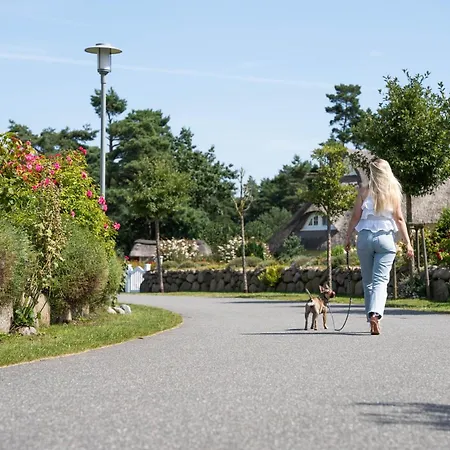 펜션 Haubenlerche 52